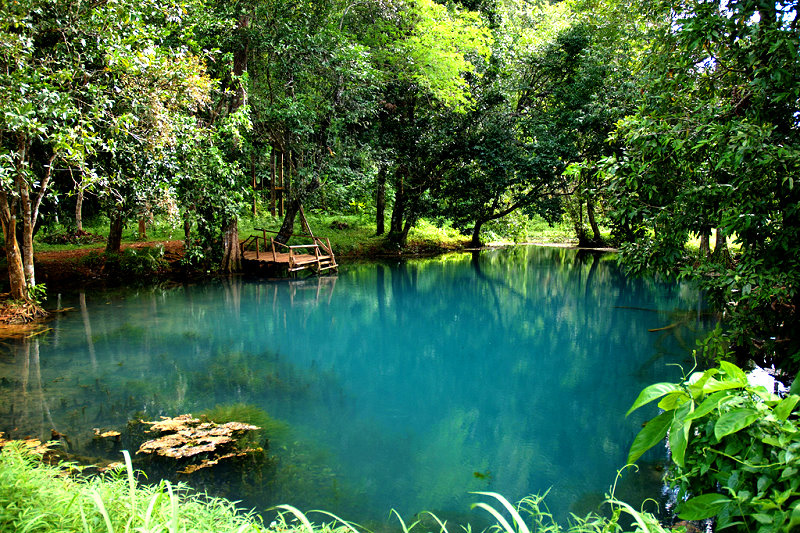 Impressionen von den Bade-Oasen & Lagunen mitten im Urwald von Krabi.