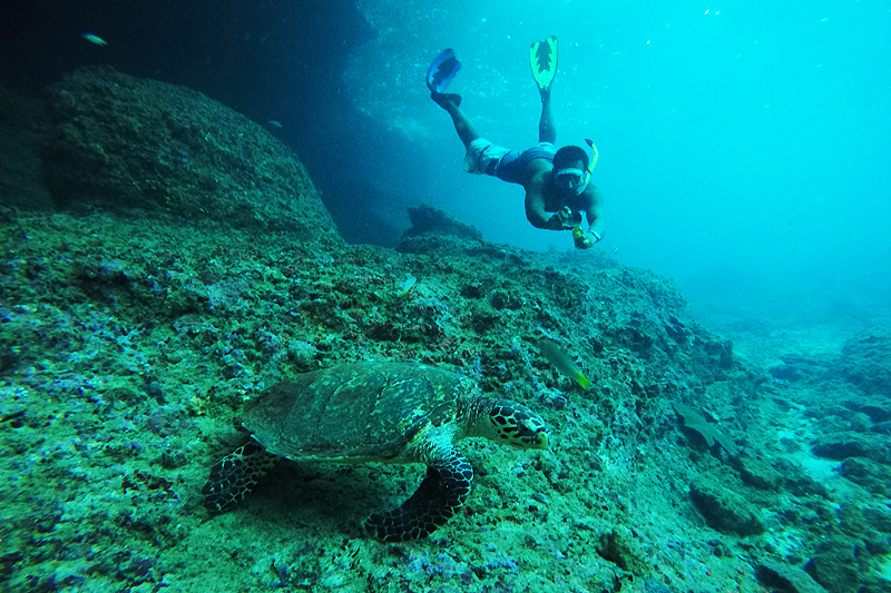 Unterwasseraufnahmen, aufgenommen von Mr. Mote mit seiner Spezialkamera