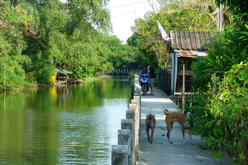 Thailand Lifestyle präsentiert: Bangkoks grüne Dschungel-Oase "Phra Pradaeng"
