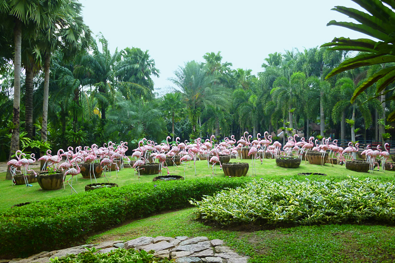 Thailand Lifestyle Tipp von Nathalie Gütermann: "Nong Nooch Tropical Garden" in Pattaya