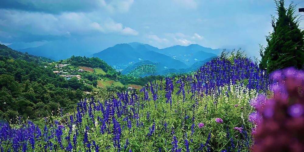 Chiang Mai Ausflug (1): Bergwelt von Moncham