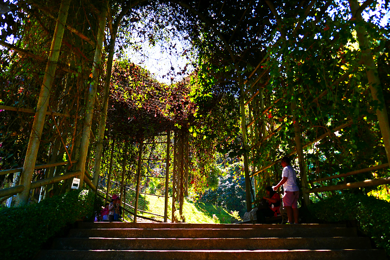 Thailand Lifestyle präsentiert: Queen Sirikit Botanic Garden, Mae Rim/Chiang Mai