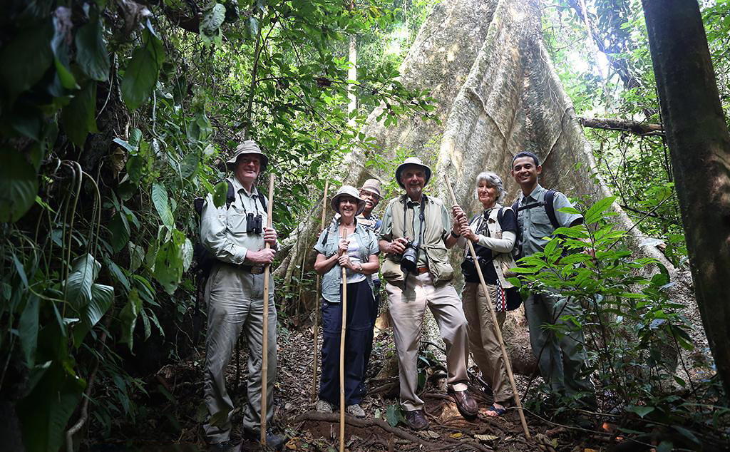 "Jungle Experience": Trekking durch den Khao Sok Regenwald. Foto © Elephant Hills